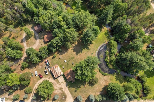 6202 Fletcher Rd, Fife Lake, MI 49633 - aerial view of property and surrounding area