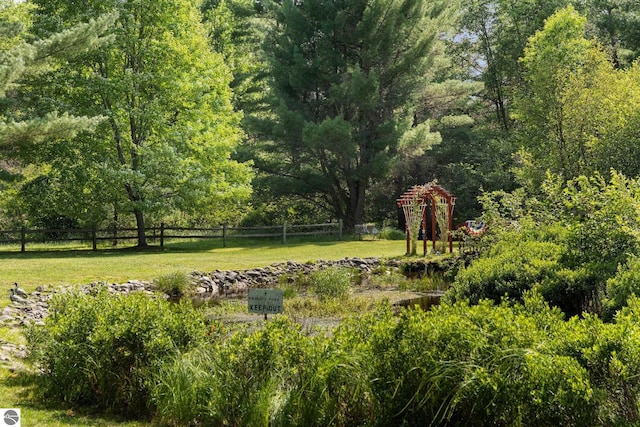 6202 Fletcher Rd, Fife Lake, MI 49633 - view of yard