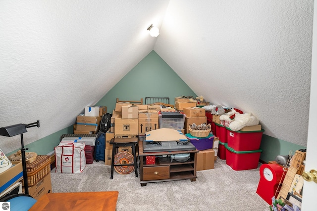 4480 Mockingbird Cir, Farwell, MI 48622 - view of storage area