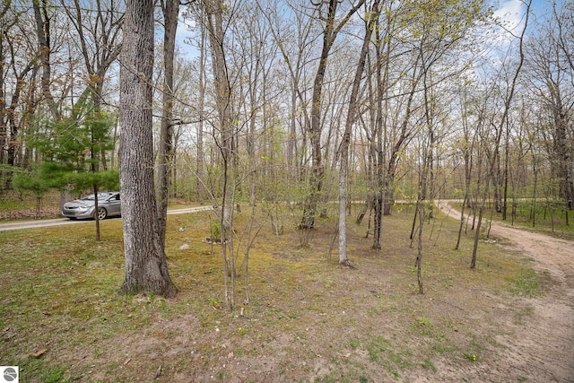 4480 Mockingbird Cir, Farwell, MI 48622 - view of yard
