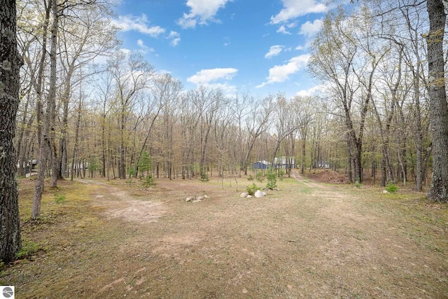 4480 Mockingbird Cir, Farwell, MI 48622 - view of yard with a view of trees