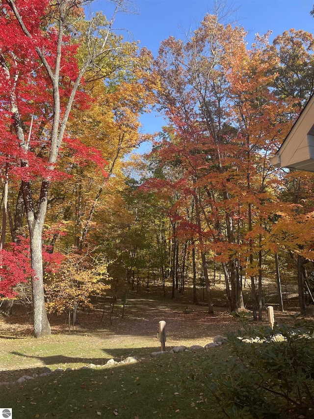 4480 Mockingbird Cir, Farwell, MI 48622 - view of green lawn