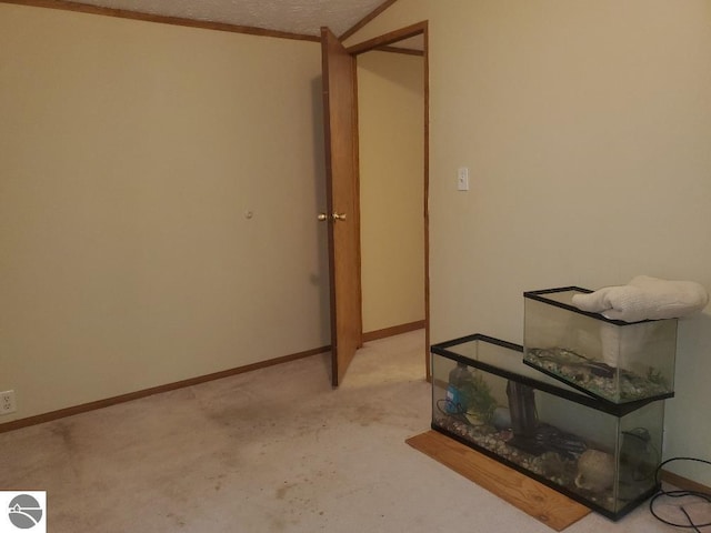 5232 E Broadway Lot 338, Mount Pleasant, MI 48858 - unfurnished room with light colored carpet and baseboards