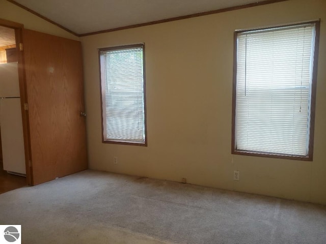 5232 E Broadway Lot 338, Mount Pleasant, MI 48858 - empty room with carpet flooring, crown molding, and lofted ceiling