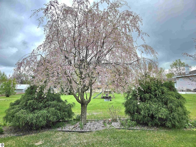 205 S Elm St, Suttons Bay, MI 49682 - view of grassy yard