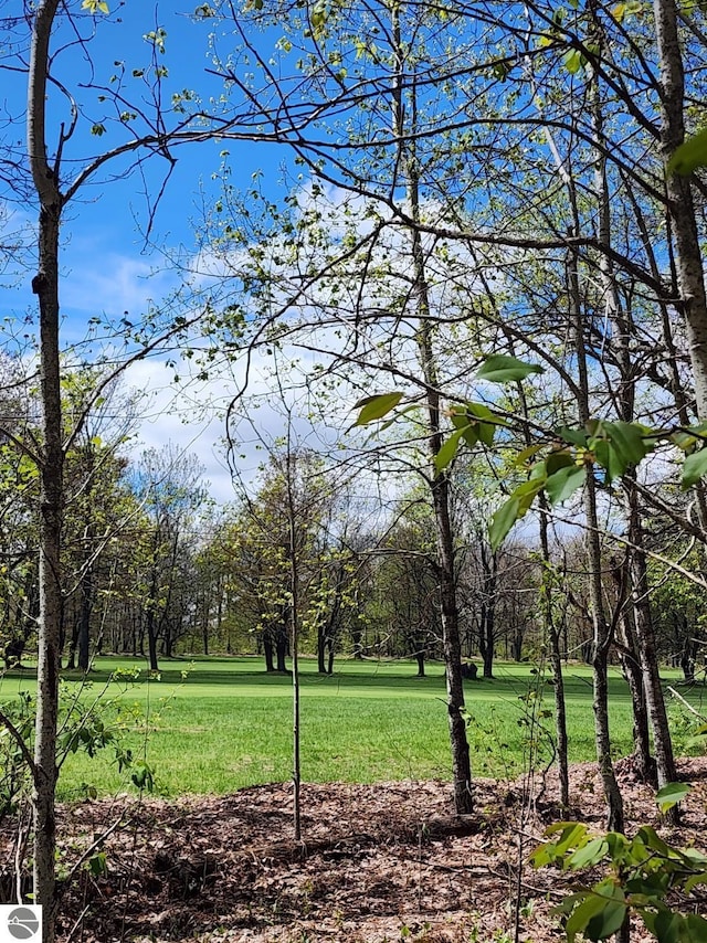 TBD Fairway Hollow, Mancelona, MI 49659