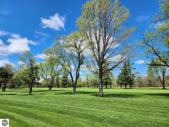 TBD Fairway Hollow, Mancelona, MI 49659