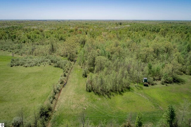 2250 N Coleman Rd, Coleman, MI 48618 - aerial view of a forest
