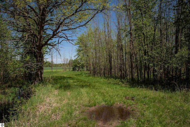 2250 N Coleman Rd, Coleman, MI 48618 - view of local wilderness