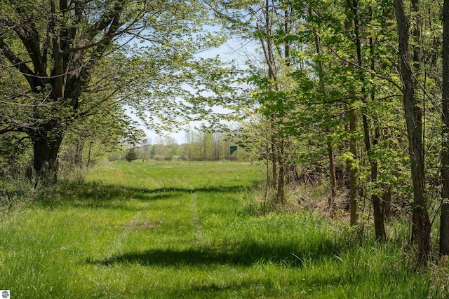 2250 N Coleman Rd, Coleman, MI 48618 - view of undeveloped land