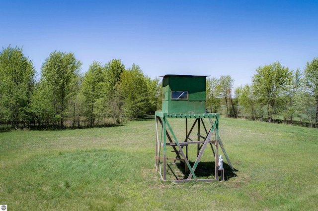 2250 N Coleman Rd, Coleman, MI 48618 - view of green lawn