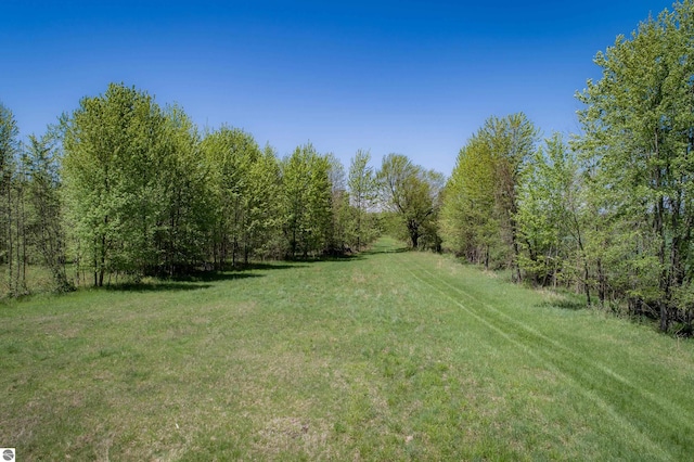 2250 N Coleman Rd, Coleman, MI 48618 - view of grassy yard