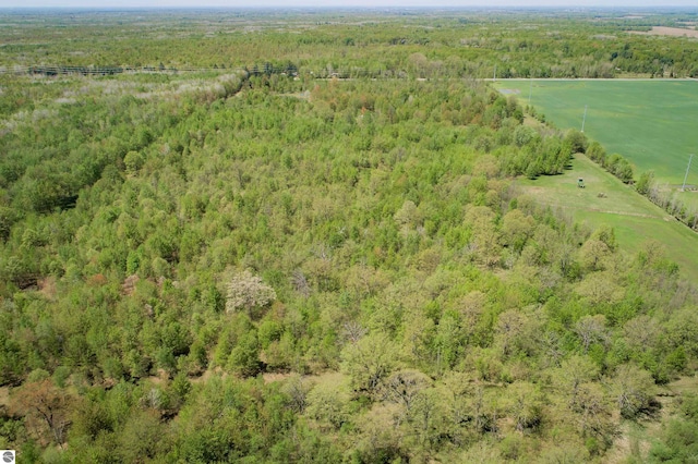 2250 N Coleman Rd, Coleman, MI 48618 - view of rural area with a heavily wooded area