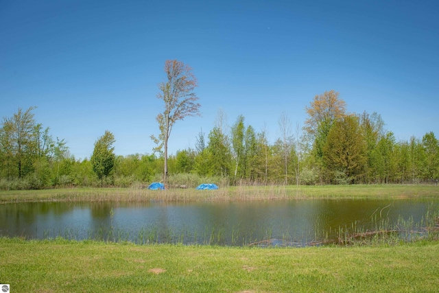 2250 N Coleman Rd, Coleman, MI 48618 - water view with a forest