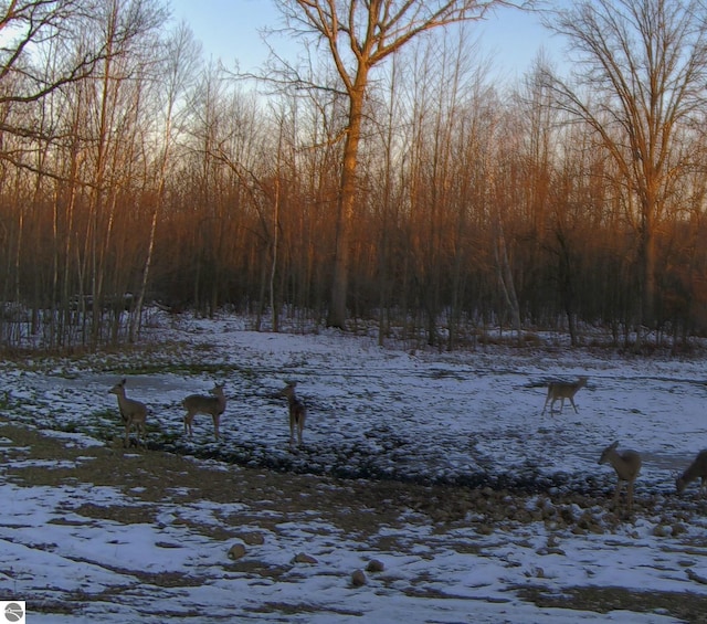 2250 N Coleman Rd, Coleman, MI 48618 - view of yard