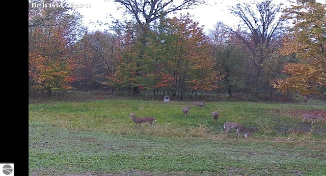 2250 N Coleman Rd, Coleman, MI 48618 - view of yard with a forest view