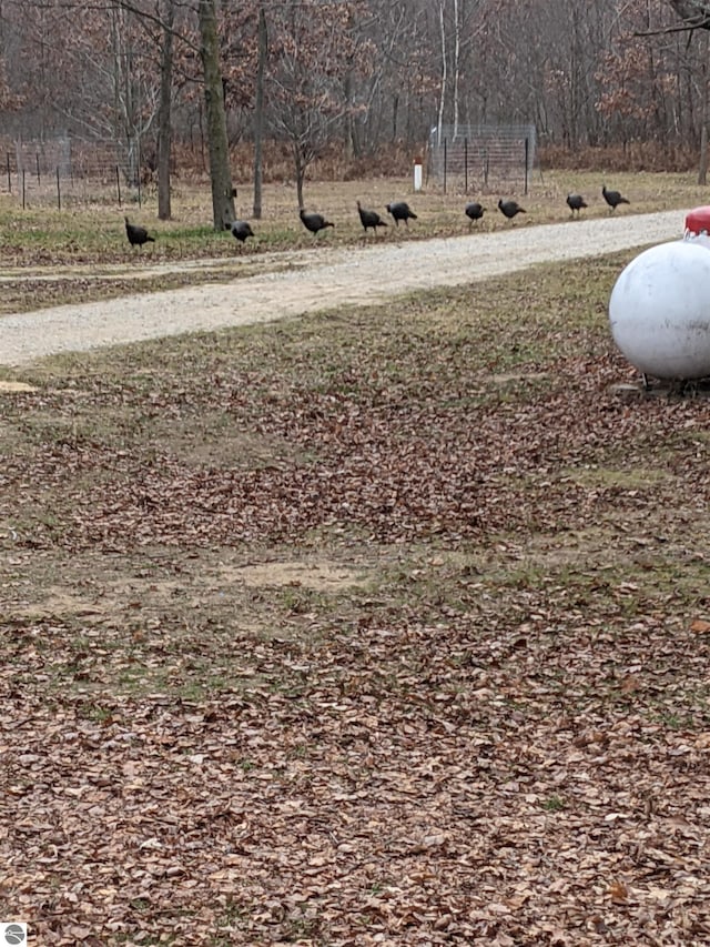 2250 N Coleman Rd, Coleman, MI 48618 - view of yard