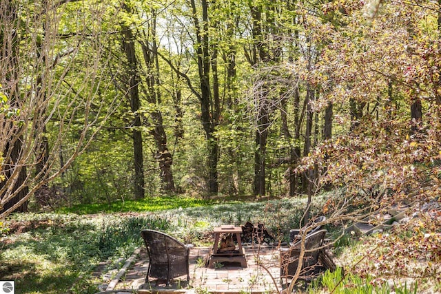 11199 Center Rd, Traverse City, MI 49686 - view of yard featuring a forest view