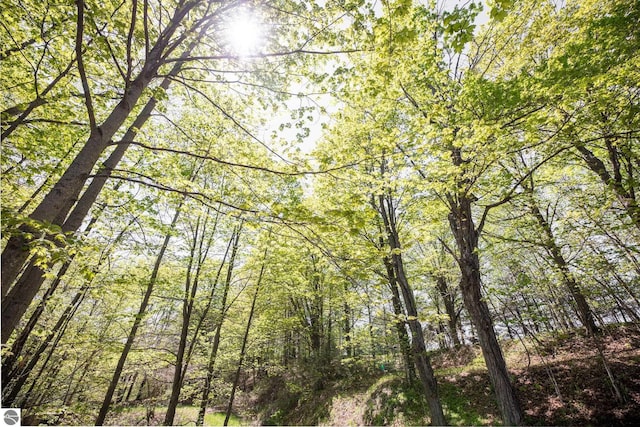 11199 Center Rd, Traverse City, MI 49686 - view of woods