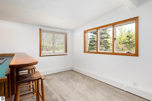 11199 Center Rd, Traverse City, MI 49686 - empty room with carpet floors, baseboards, lofted ceiling, and baseboard heating