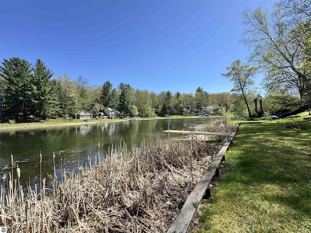 921 Pine St, Harrison, MI 48625 - water view with a forest