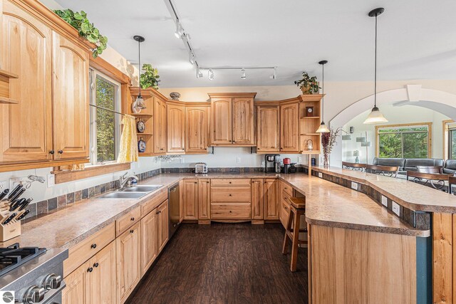 3290 Sumac Trl, Frankfort, MI 49635 - kitchen with open shelves, a sink, stainless steel dishwasher, a peninsula, and dark wood finished floors