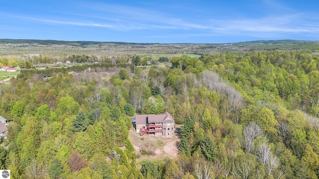 3290 Sumac Trl, Frankfort, MI 49635 - view of subject property with a forest