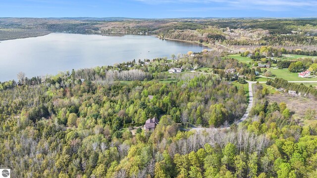 3290 Sumac Trl, Frankfort, MI 49635 - aerial overview of property's location with a nearby body of water and a heavily wooded area