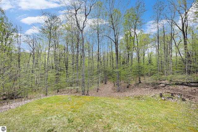 5301 Durga Rd, Williamsburg, MI 49690 - view of green lawn