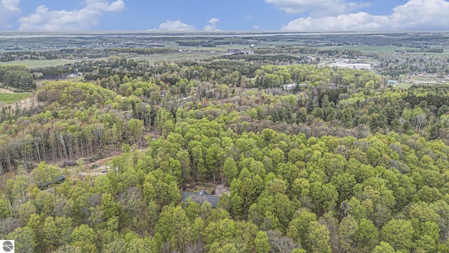 5301 Durga Rd, Williamsburg, MI 49690 - aerial view of property's location with a forest
