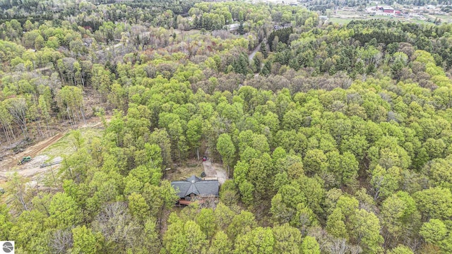 5301 Durga Rd, Williamsburg, MI 49690 - aerial view of a heavily wooded area