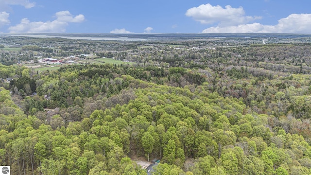 5301 Durga Rd, Williamsburg, MI 49690 - aerial view of property and surrounding area with a heavily wooded area