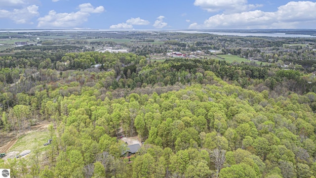 5301 Durga Rd, Williamsburg, MI 49690 - view of property location featuring a heavily wooded area and a large body of water