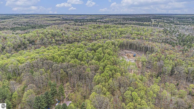 5301 Durga Rd, Williamsburg, MI 49690 - view of property location with a heavily wooded area