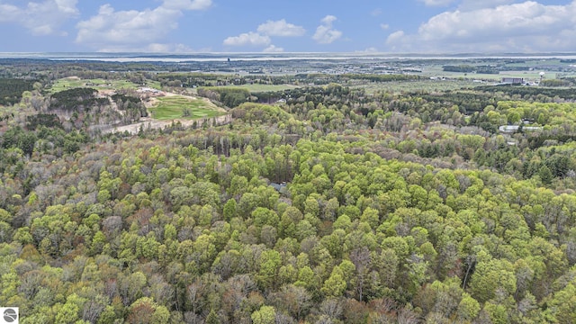 5301 Durga Rd, Williamsburg, MI 49690 - aerial overview of property's location with a heavily wooded area