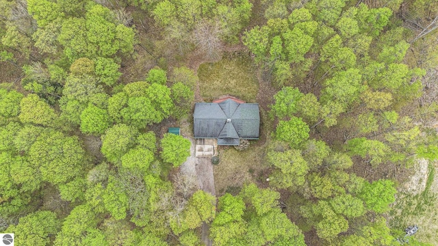 5301 Durga Rd, Williamsburg, MI 49690 - aerial view of property and surrounding area