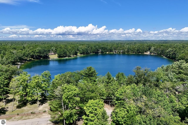 1493 NE Laura Ln, Kalkaska, MI 49646 - bird's eye view of a forest and a nearby body of water