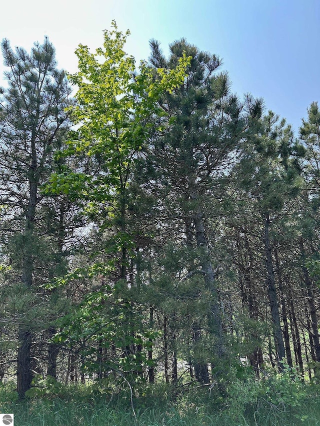 2494 N Setterbo Rd, Suttons Bay, MI 49682 - view of undeveloped land