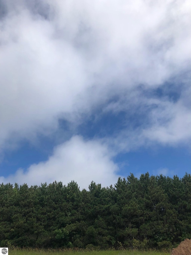 2494 N Setterbo Rd, Suttons Bay, MI 49682 - view of woods