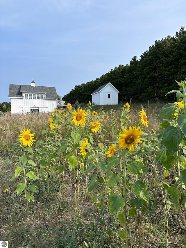 2494 N Setterbo Rd, Suttons Bay, MI 49682 - view of yard