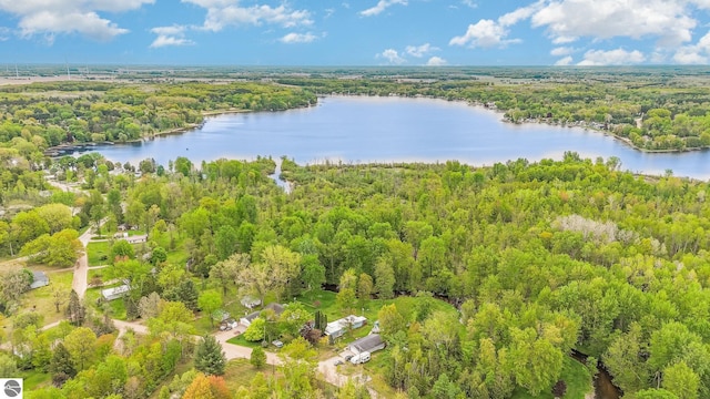 5817 Gross Dr, Weidman, MI 48893 - bird's eye view of a heavily wooded area and a nearby body of water