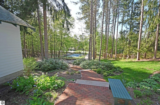 9017 S Dunns Farm Rd, Maple City, MI 49664 - view of green lawn
