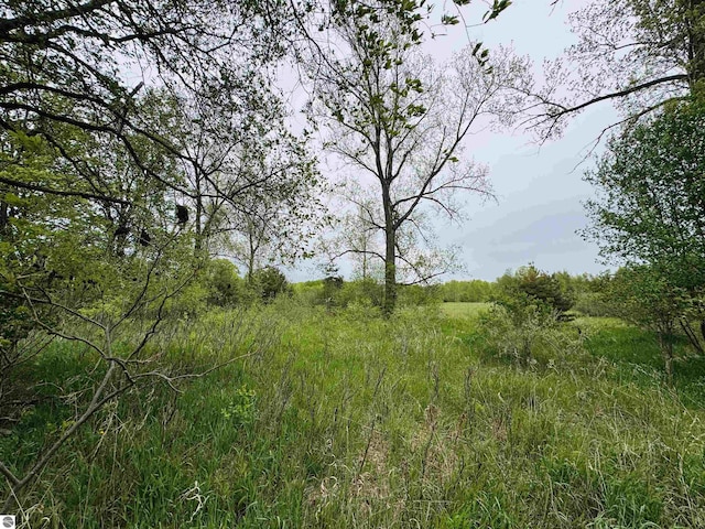 PARCELB3 Bosscher Rd, Manton, MI 49663