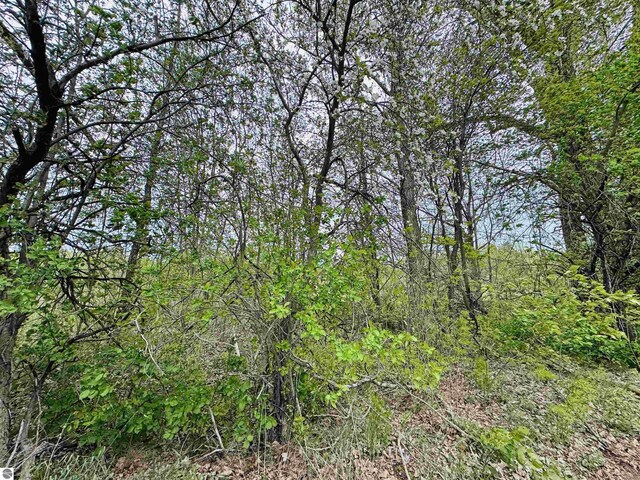 PARCELB3 Bosscher Rd, Manton, MI 49663
