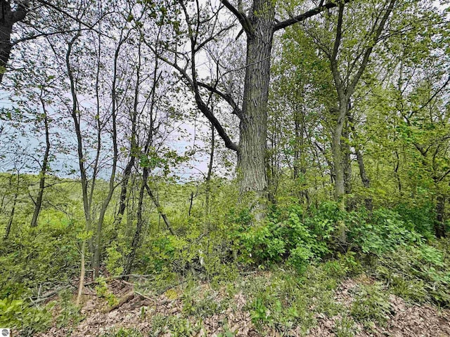 PARCELB3 Bosscher Rd, Manton, MI 49663
