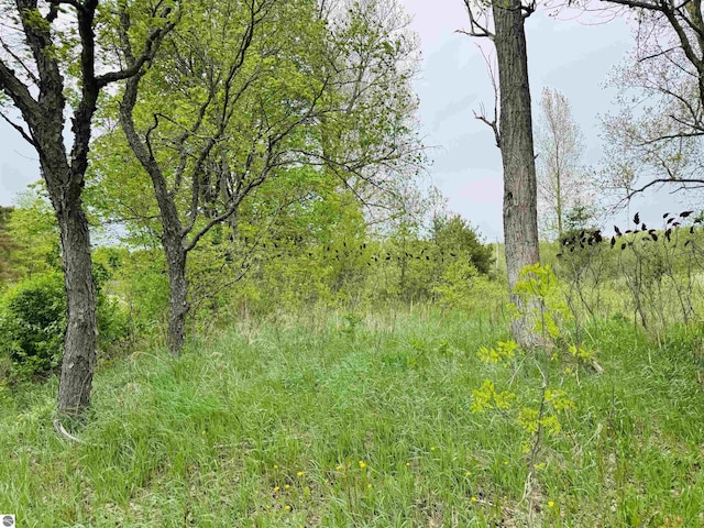 PARCELB3 Bosscher Rd, Manton, MI 49663