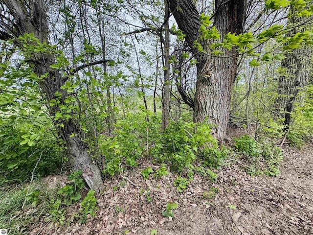 PARCELB3 Bosscher Rd, Manton, MI 49663