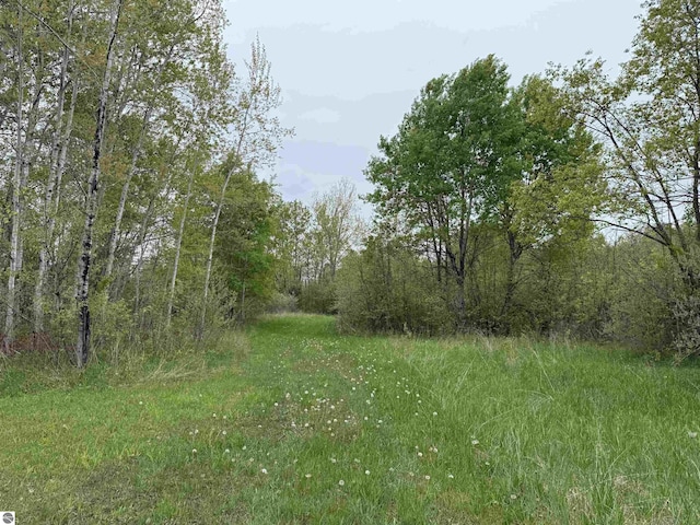 6661 Terry Ln, Hale, MI 48739 - view of tree filled area