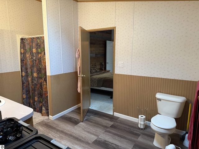 6661 Terry Ln, Hale, MI 48739 - bathroom with wallpapered walls, a wainscoted wall, toilet, curtained shower, and connected bathroom