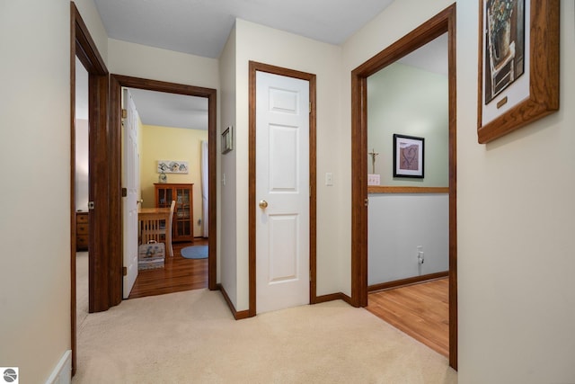 4611 Audubon Dr, Traverse City, MI 49686 - corridor with light colored carpet and baseboards